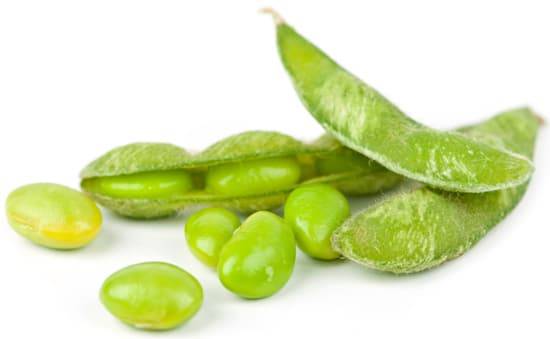 مزایای استفاده از لوبیا سویا