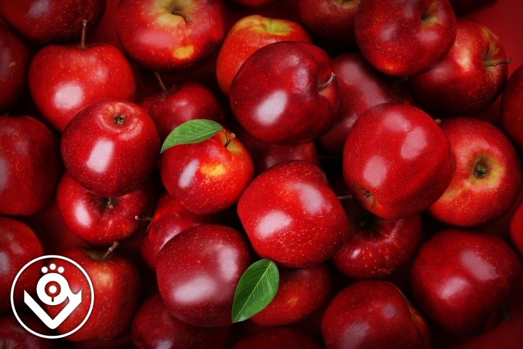 سیب و خواص آن برای سلامتی و پوست