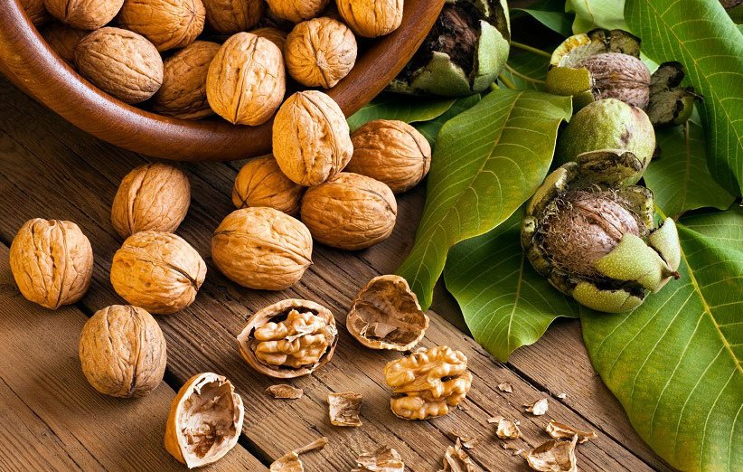 گردو عامل پیشگیری از سرطان روده بزرگ