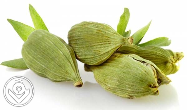 خواص و مزایای هل برای پوست و مو (بخش دوم)