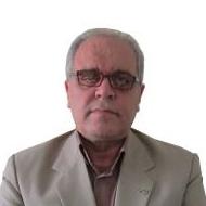 مجید حسن زاده