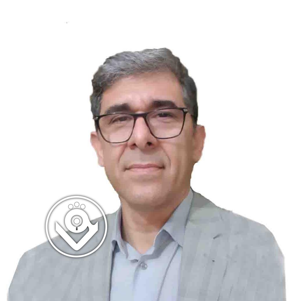 محمدرضا نقاشی