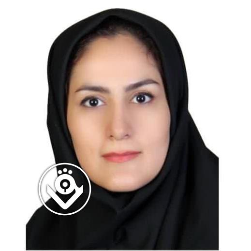 سارا فرهنگ