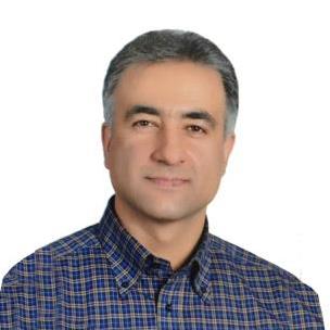 سیدمهدی دیباور